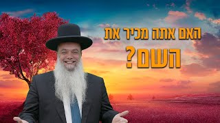 הרב יגאל כהן - איך יוצאים לחופש? - עם שפת סימנים (הרב יגאל כהן) - התמונה מוצגת ישירות מתוך אתר האינטרנט יוטיוב. זכויות היוצרים בתמונה שייכות ליוצרה. קישור קרדיט למקור התוכן נמצא בתוך דף הסרטון