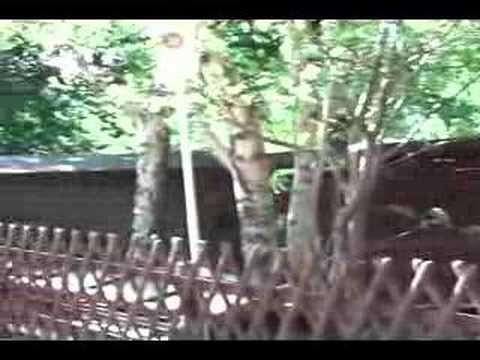 Stempelstelle 30 Gasthaus Ilsestein - Harzer Wandernadel