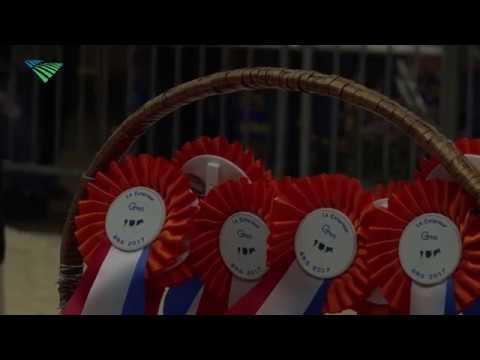 Stolwijk wint jackpot Bedum