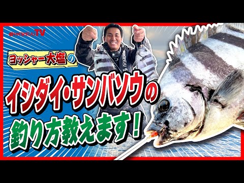I'll teach you how to catch stonefish and sambaso! 2024/Yossha Oshio's Fishing Lessons #6