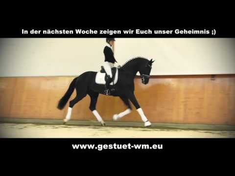 Secret (Sezuan x St. Moritz x Rotspon)