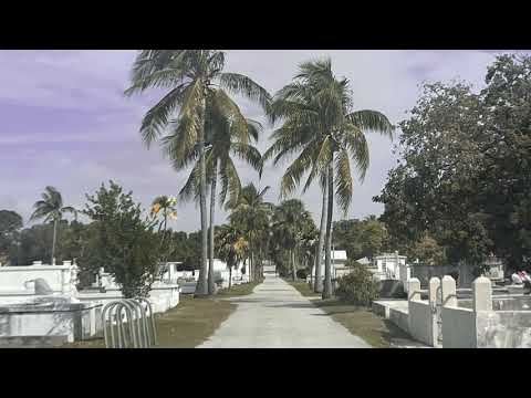 Save Your Beers - The Dopamines