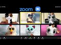 Beanie Boos The Zoom Call Skit