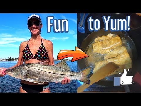 Snook fishing (catch, clean, cook) Quick, Easy, Simple fish fry recipe!