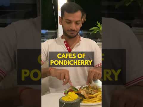 Um vislumbre dos incríveis cafés de Pondicherry! #Shorts