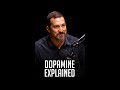 Andrew Huberman Explains Dopamine