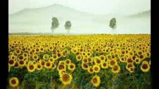 Rappers Against The Racism - Question Of Color