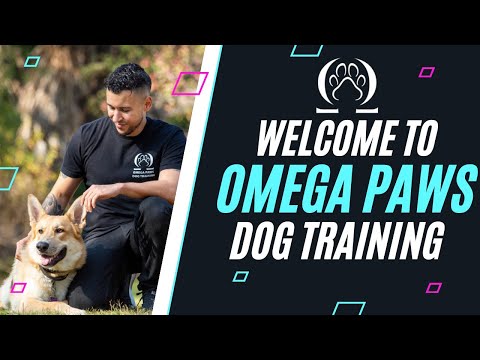 Omega Paws Dog Training video.