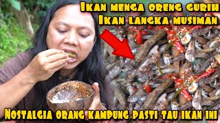 Download lagu HUNTING AND COOKING MENGA FISH GUARANTEED TO MAKE YOU WANT TO GO HOME mp3