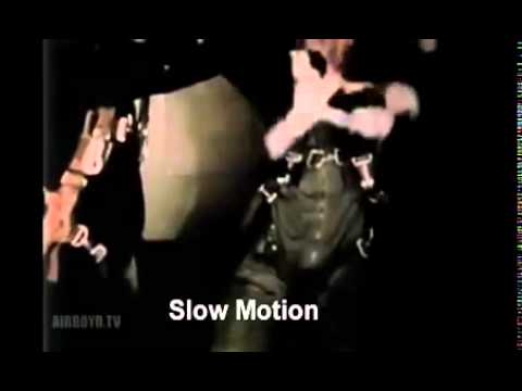 Ever wondered how cats react to zero gravity