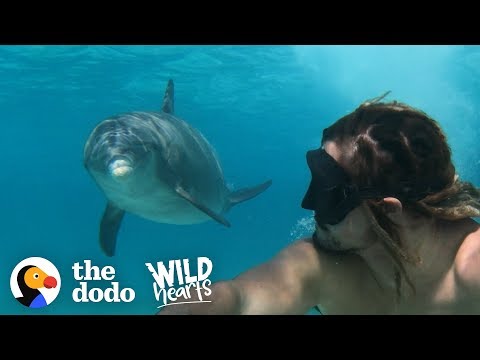 Meet Jojo, The Friendliest Wild Dolphin!