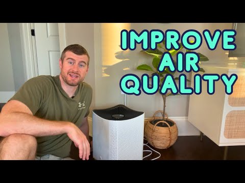 Mila Air Purifier Review, One Year Later