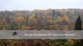 preview picture of video 'Autumn forest and curving river'