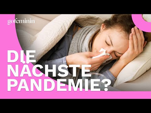 Q-Fieber in Deutschland: Wie gefährlich ist die Krankheit?