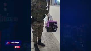 AN 24 Hrs: Fuga de presos em Feira, 3 condenado por homicídios escaparam | ARATU NOTICIAS | TV ARATU
