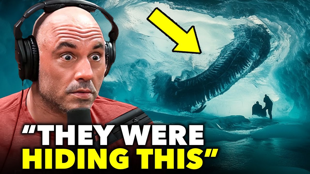 What A Camera Captured In Antarctica Is Shocking the world