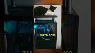 Cat Barrier for Gaming PC