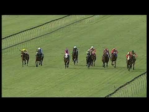20200301 Hollywoodbets Scottsville express clip Race 6 won by CHANTYMAN