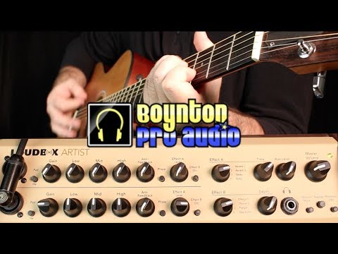 Обзор комбоусилителя Fishman Loudbox Artist