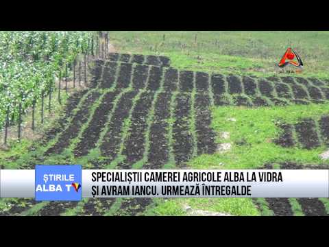 SPECIALISTII CAMEREI AGRICOLE ALBA LA VIDRA SI AVRAM IANCU. URMEAZA INTREGALDE