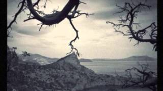 Fear and Wonder-Raabjørn Speiler Draugheims Skodde