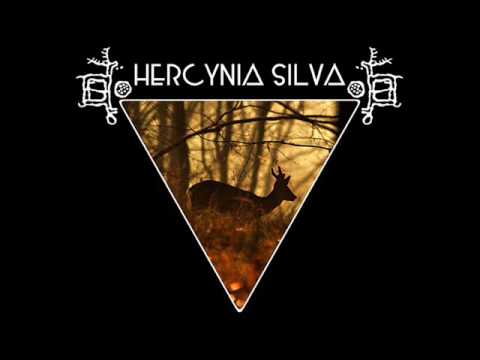 HERCYNIA SILVA 