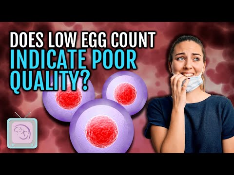 AMH test and your fertility 9 things you need to know for women with infertility Dr Morris