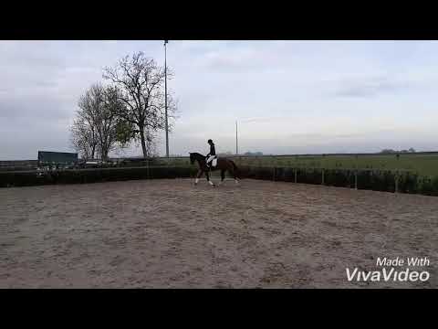 Imagine Uphill x Negro