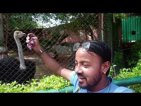 Mr Sanjit Kumar chidiyaghar collector