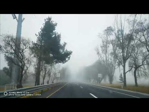 The Chamanas Ft Angeles negros Neblina 