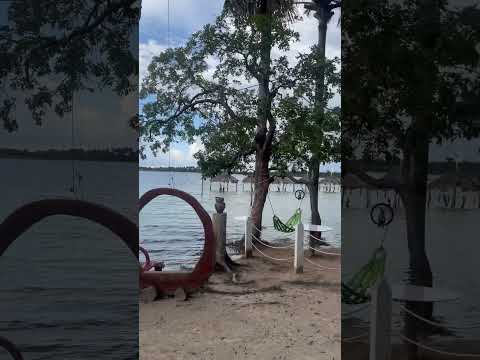 Lagoa do casso #lagoadocassò #interior 💓 #maranhão
