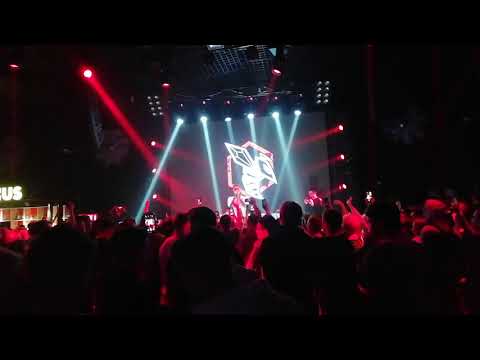 Bumble Beezy - Flow Shop (Красноярск 2019)