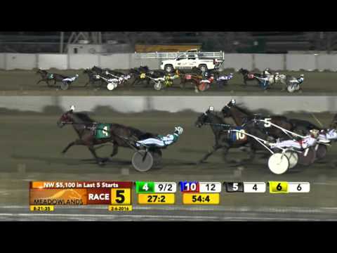 Meadowlands February 6, 2016 - Race 5 - City Pie