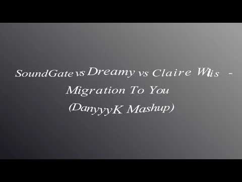 SoundGate vs Dreamy vs Claire Willis - Migration To You (DanyyyK Mashup)