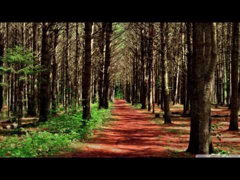 Goblins from Mars x Ryan Oakes - Glow'd Up ♫ 1 hour music ♫ Top music 2016 EDM ♫ Best song 2016 EDM