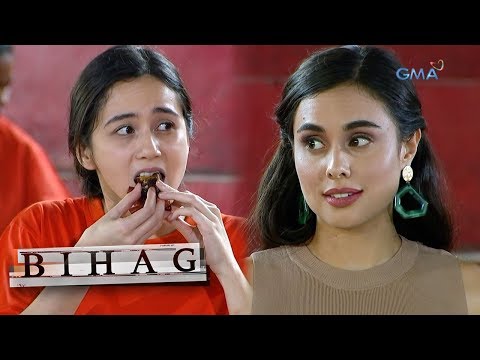 Bihag: Reign's suprise visitor | Episode 95