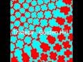 Tristeza - Golden Hill