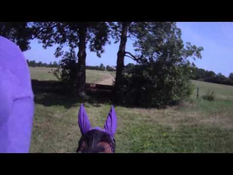 Kolor Me Gone_XC_ GVRDC