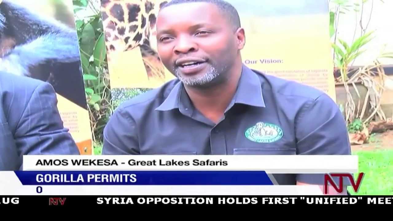 Tour operators still opposed to online gorilla permits