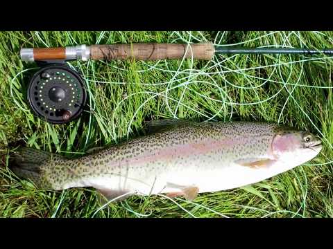 The Chesterfield Expedition (TIS143)