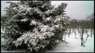 preview picture of video 'Winter in den Streuobstwiesen von Bruchsal'