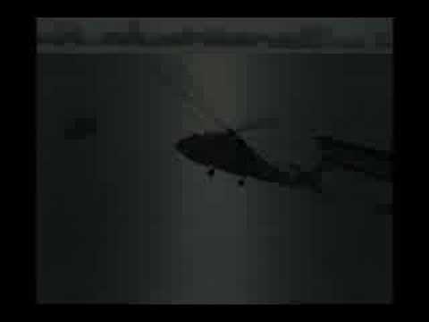 operation whales hunting