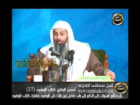  شرح صحيح البخارى   كتاب الوضوء 27 