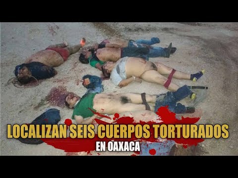 www blog del narco com videos www blog del narco com videos