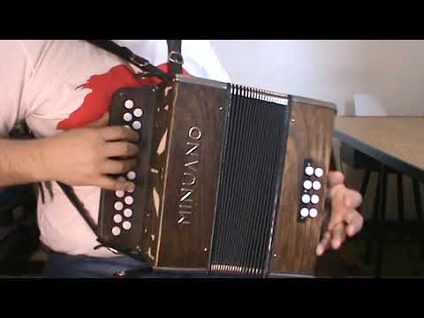 Cezar Ferreira - VELHA GAITA (Pedro Ortaça)