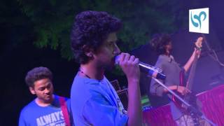 Tailored Haven - A Drive Over The Lifeless