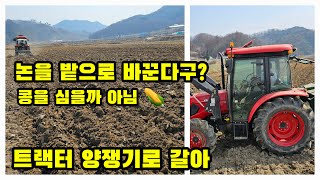 논을 밭으로 트랙터 양쟁기 갈고 또 갈고 다음 밭 첫작물 콩 재배