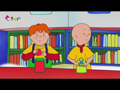Volám sa Caillou - Clementinka všetko opakuje, Kajov obrázok, Kajov domček na hranie