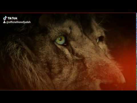 Vaughn Benjamin and The Lion of JudaH #AkaeBeka #XiXgonDubplate #RiseInPeaceKing #Midnite