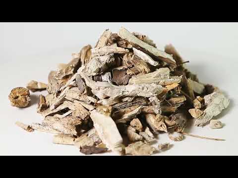 Подсолнечник корень
